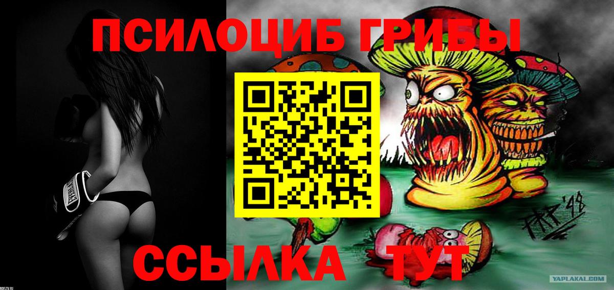 Галлюциногенные грибы Psilocybine cubensis  Вход с VPN  сколько стоит  Чистополь 